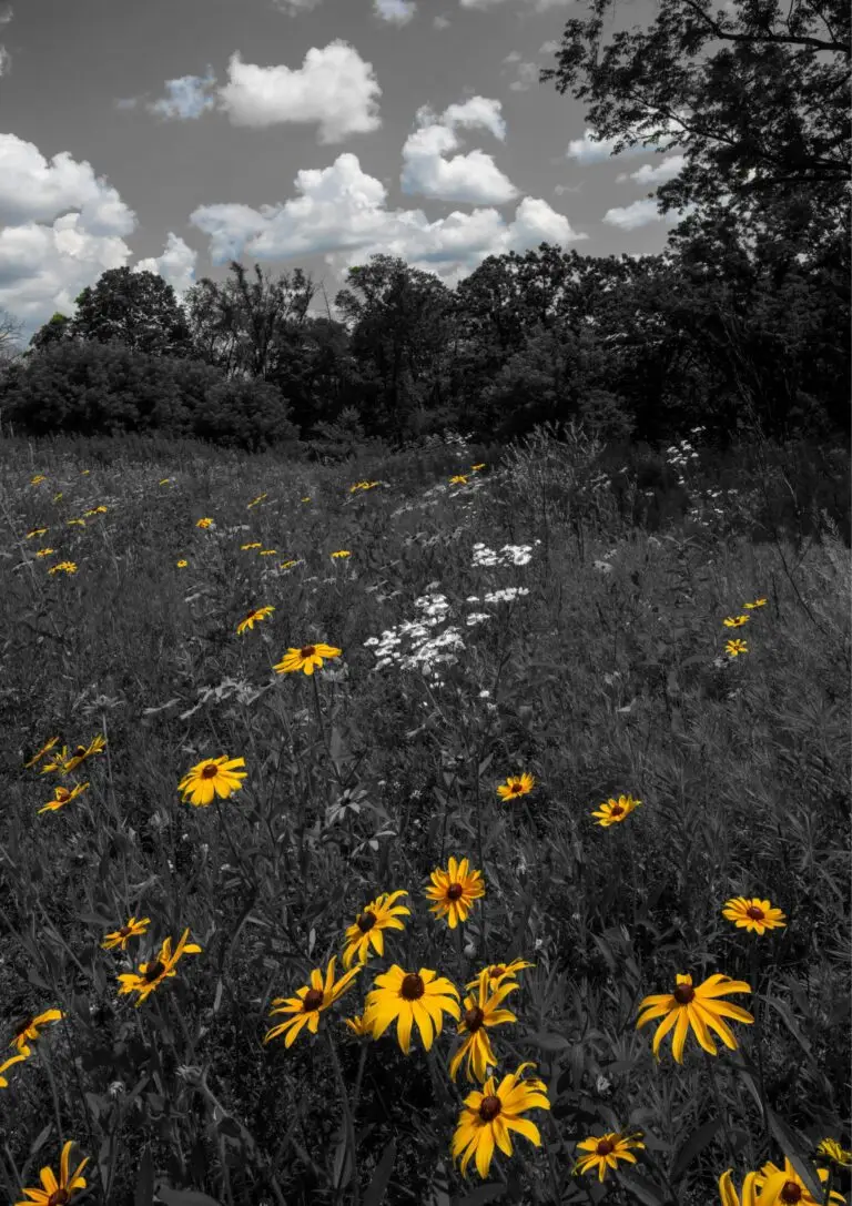 Copy of Untitled - A1 (594 mm X 841 mm)