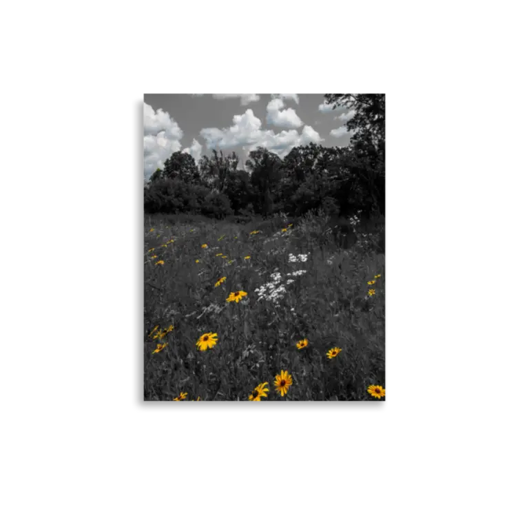 enhanced-matte-paper-poster-in-11x14-front-6a1f103e4a2e2.png