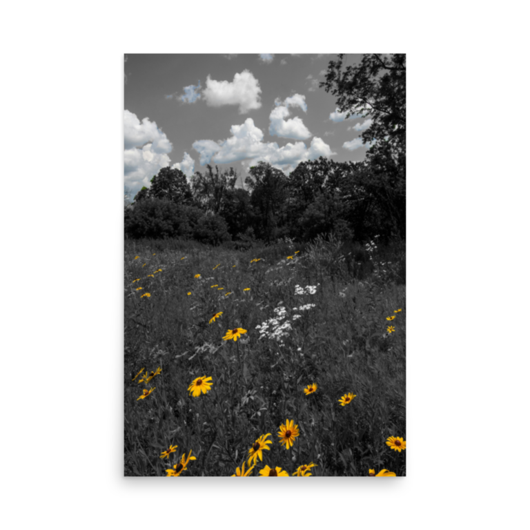 enhanced-matte-paper-poster-in-24x36-front-6a1f103e491ca.png