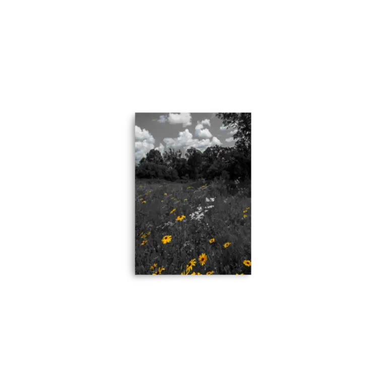 enhanced-matte-paper-poster-in-5x7-front-6a1f103e4b26d.png