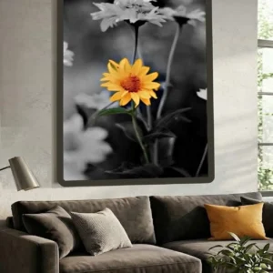 Resilient in Stillness - Smooth Oxeye Sunflowers - Thumbnail Image 9