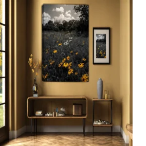 They Bloomed Anyway - Field of Black-Eyed Susans - Thumbnail Image 5