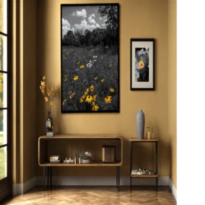 They Bloomed Anyway - Field of Black-Eyed Susans - Thumbnail Image 4