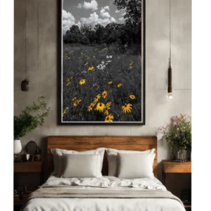 They Bloomed Anyway - Field of Black-Eyed Susans - Thumbnail Image 2