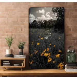 They Bloomed Anyway - Field of Black-Eyed Susans - Thumbnail Image 9