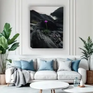 Radiance in the Cracks: Sea Thrift on the Cliff - Thumbnail Image 3