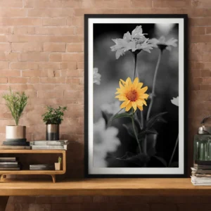 Resilient in Stillness - Smooth Oxeye Sunflowers - Thumbnail Image 4